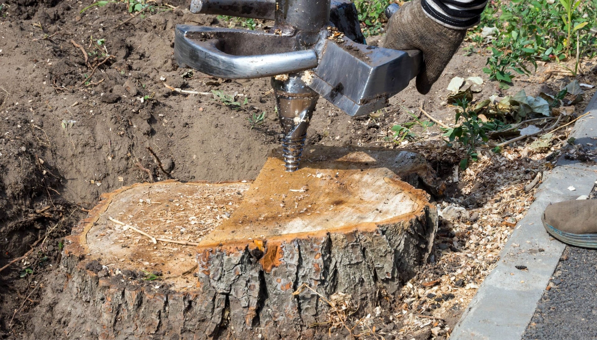 A stump grinding machines makes the job easier during tree removal services on a Bakersfield, CA property.
